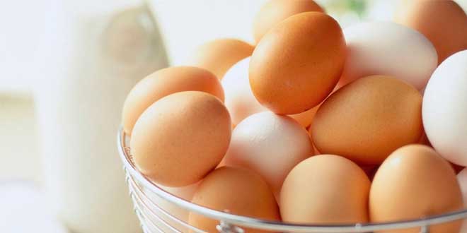 quantidade de ovos semana