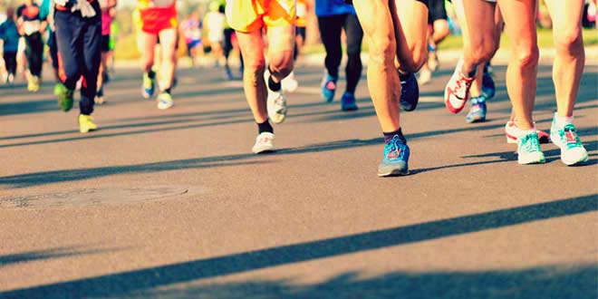 Glutamina e Desporto