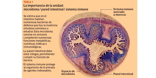 Saúde intestinal