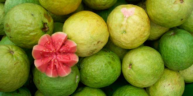 Fruta rica em Vit C