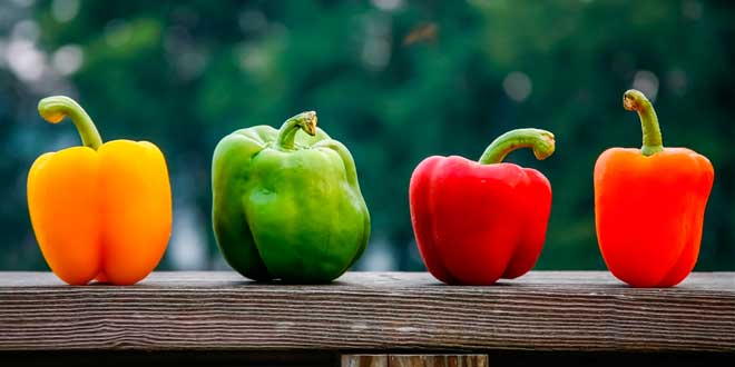 Verduras fonte vit c