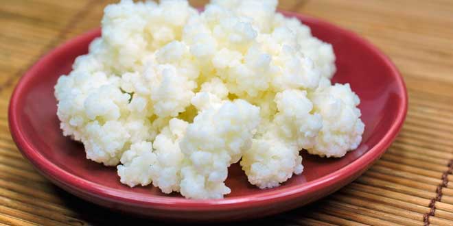 Kefir antibióticos Kefir antibióticos
