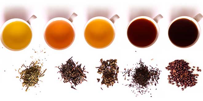 Fontes de Cafeína