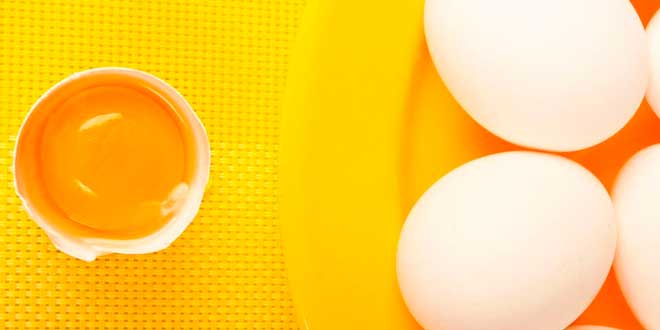 propriedades da gema