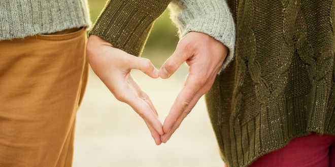 Levedura de arroz e Colesterol