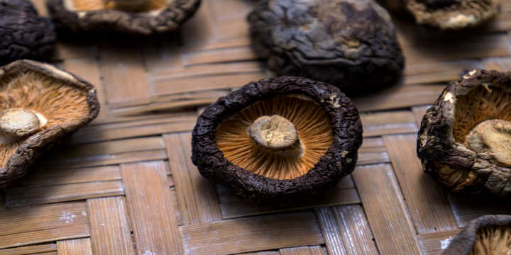 Qué beneficios tienen los Shiitake Beneficios Shiitake