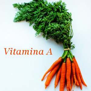 Ingrediente Vitamina A Ingredientes con vitamina A