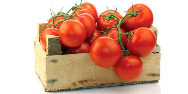 propriedades licopeno