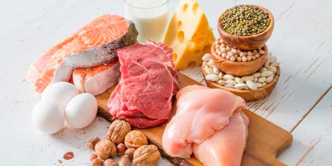 Aminogem digestão proteina Aminogem digestão proteina