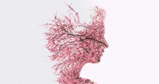 As Melhores Ervas para a Memória