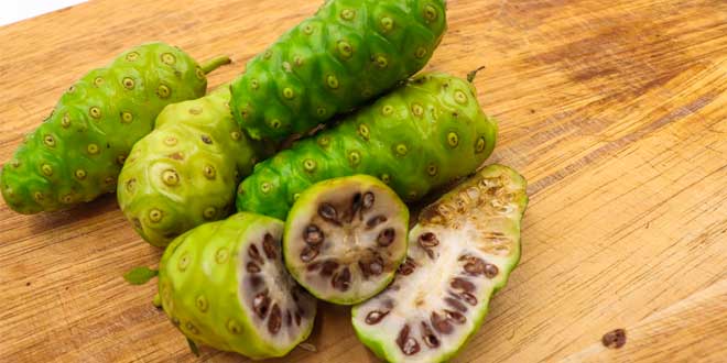 noni benefícios noni benefícios
