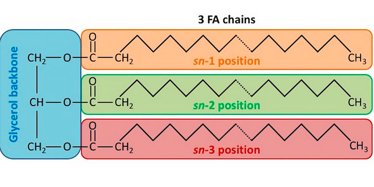 Estrutura química