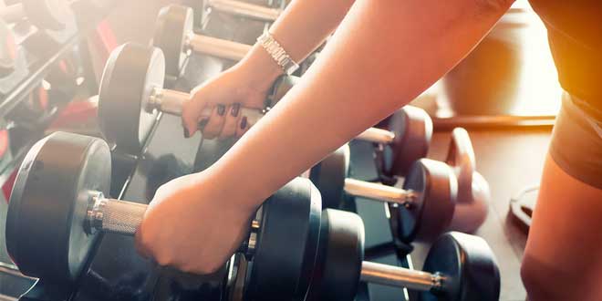Treino halteres
