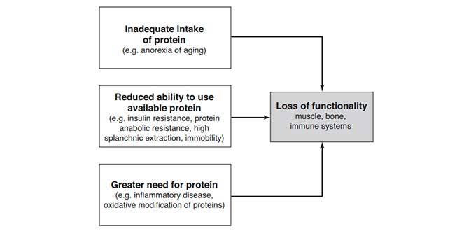 requerimento menopausa