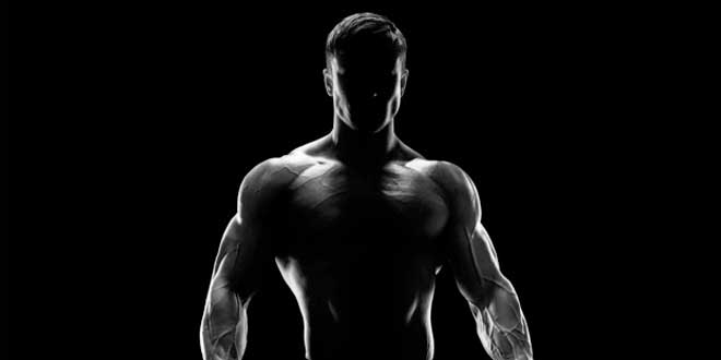 Manter missa musculo Manter missa musculo