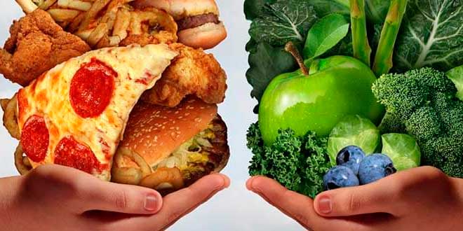 Bons e maus hidratos de carbono Bons e maus hidratos de carbono