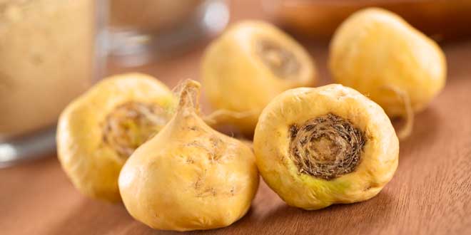 Maca