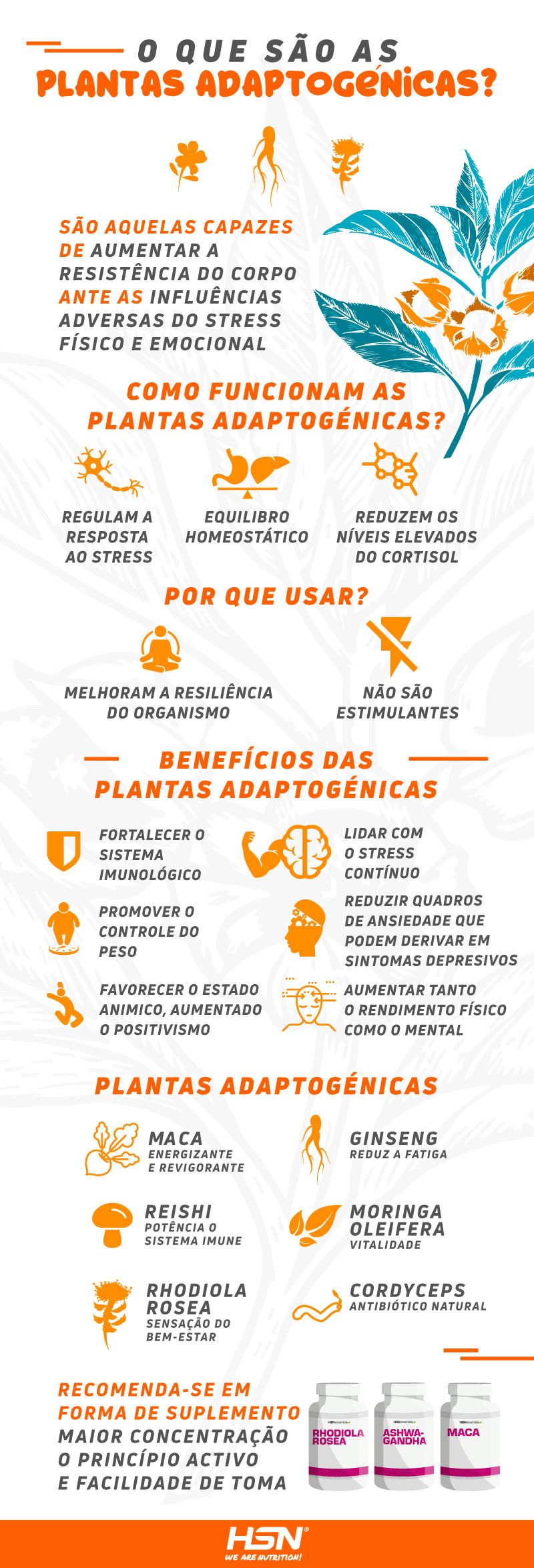 O que sao as plantas adaptogénicas