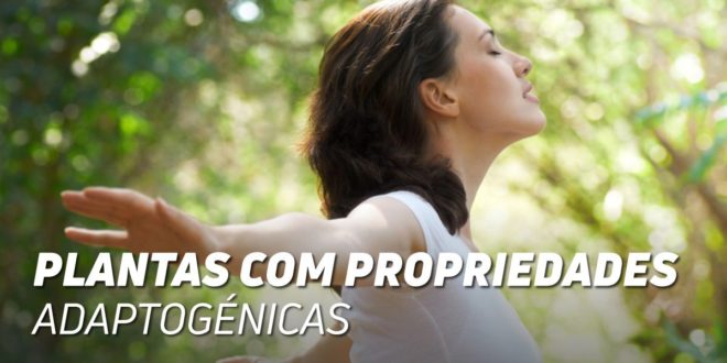 Tudo o que precisas de Saber sobre as Plantas Adaptogénicas