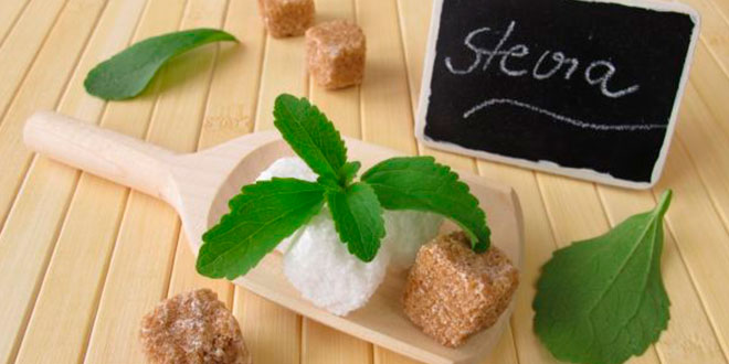 Stevia todos os seus benefcios, um deles como anti-diabtico