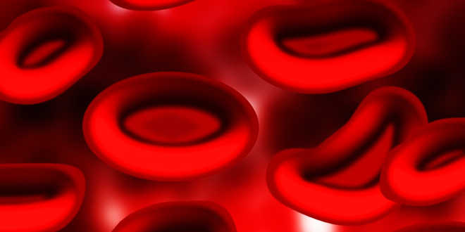 ferro globulos vermelhos
