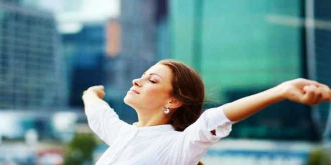 rhodiola anti stress rhodiola anti stress