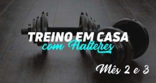 Treino em casa com halteres mes 2 e 3