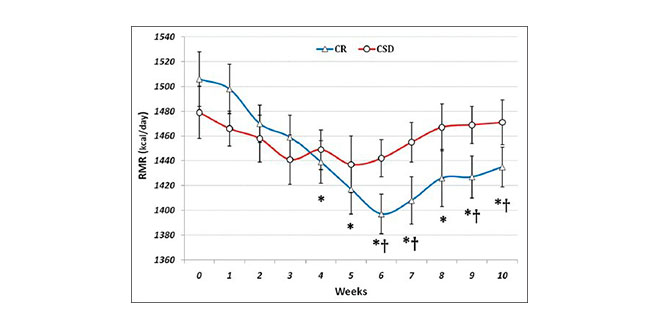 Dieta tempo Dieta tempo