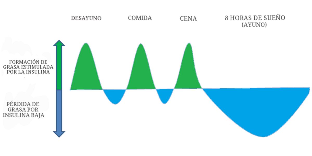 Evolução Evolução