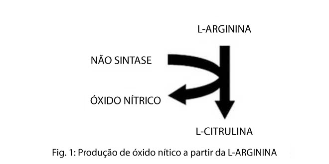 L-Arginina L-Arginina