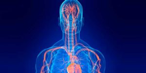 L-arginina e produção de oxido nitrico