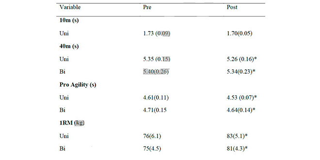 rendimento sentadilha