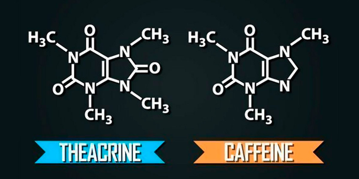 Cafeina vs teacrina