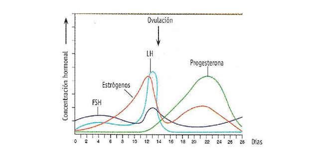 Gráfica ovulação