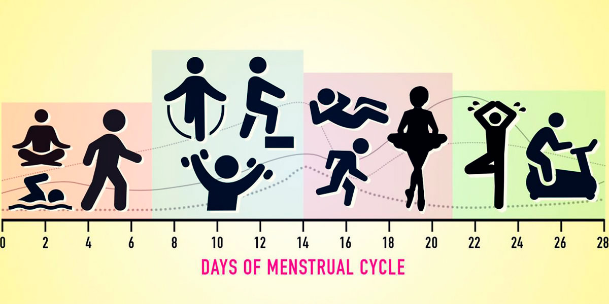 Treino ciclo menstrual