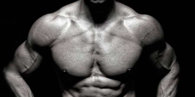 Calorias para ganhar músculo