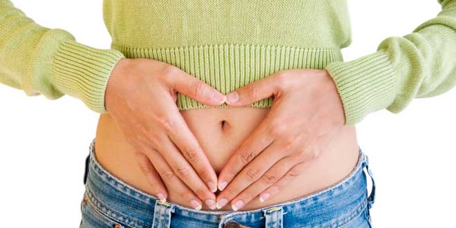 Absorção de nutrientes Absorção de nutrientes