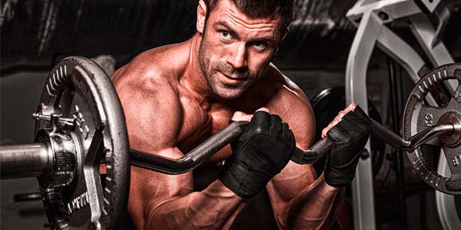 Ganhar Massa Muscular