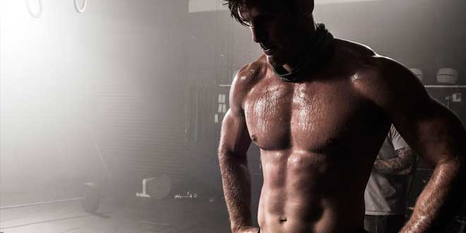 Circuito metabólico para definir