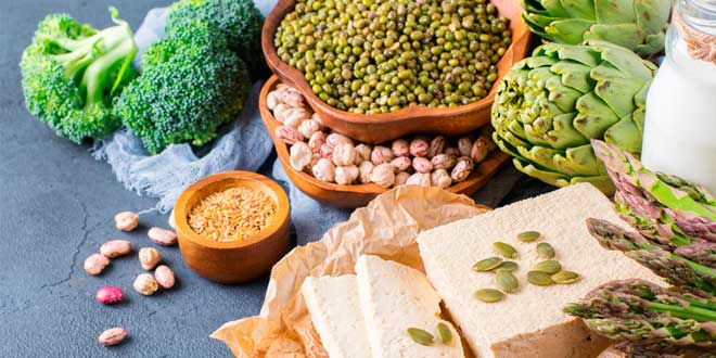 Principais fontes de proteínas vegetais naturais