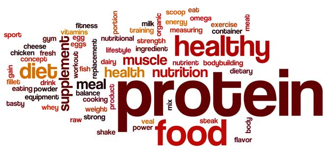 Proteínas blocos construção