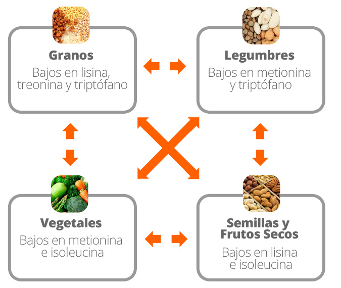 Combinar diversas fontes de proteínas vegetais