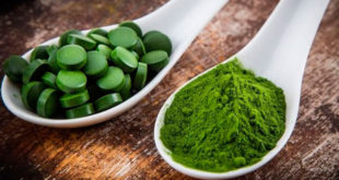spirulina dieta fitness