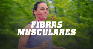 Tipos de fibras musculares