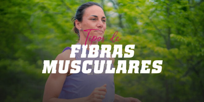 Tipos de fibras musculares e a sua relação com o desporto