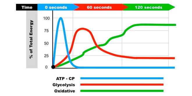 Sistemas energéticos Sistemas energéticos