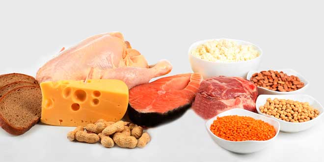 alimentos altos leucina