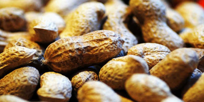 amendoim alimento leucina