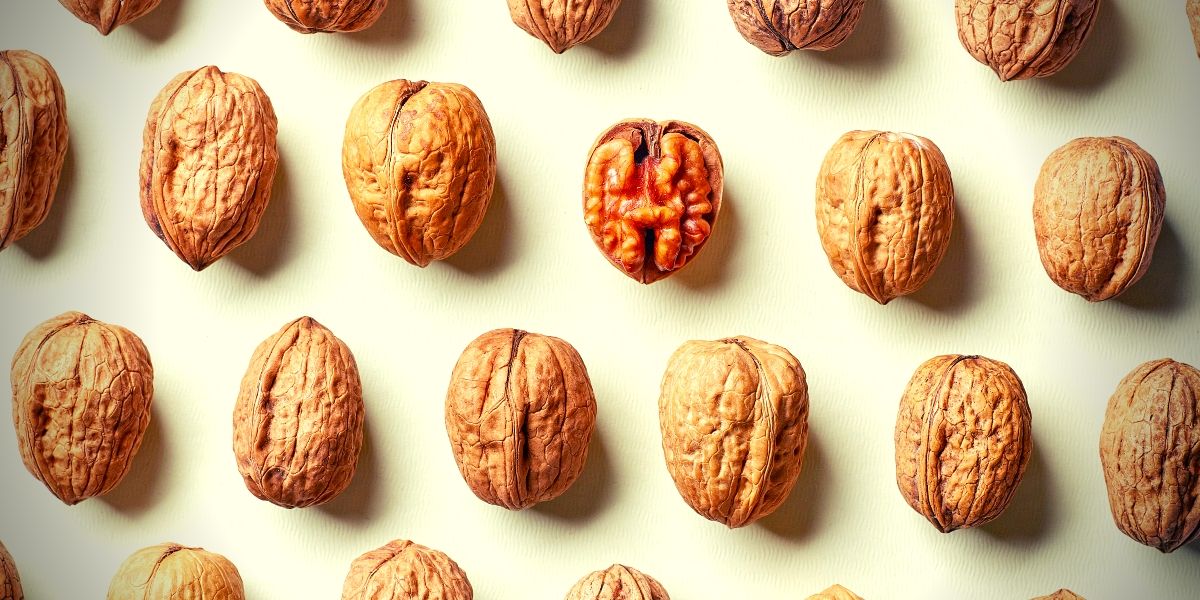 nozes brasil nozes brasil