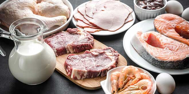 Proteínas Animais Proteínas Animais